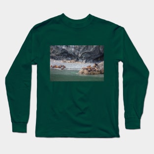 USA. Alaska. Seals. Long Sleeve T-Shirt